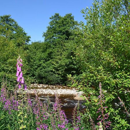 Battanropie Lodge Carrbridge Zewnętrze zdjęcie